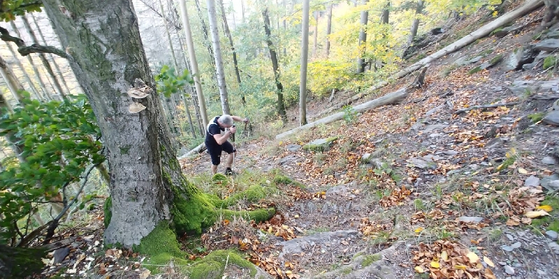 Šon Duscheri