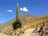 peru1_00.jpg