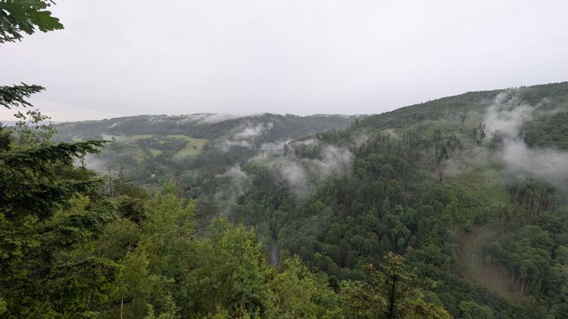 konicek_2026_1.jpg