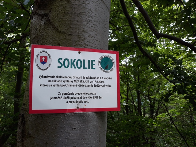 sokolie_23.jpg